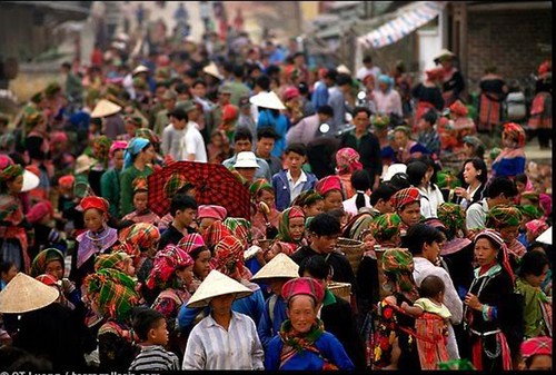 Les marchés multicolores du Vietnam - ảnh 2